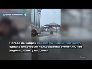 a video appeared on social networks in which several beavers steal vegetables from a warehouse in tula